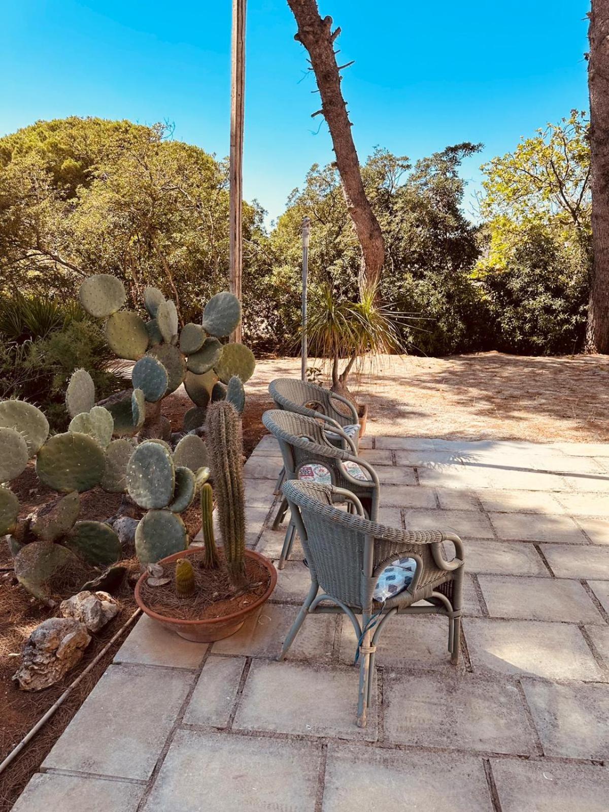 Casa Vacanze Capurre "Trulli E Pajare A Due Passi Dal Pizzo" Галиполи Екстериор снимка